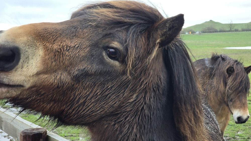 Photograph by Ekaterina Kazarez