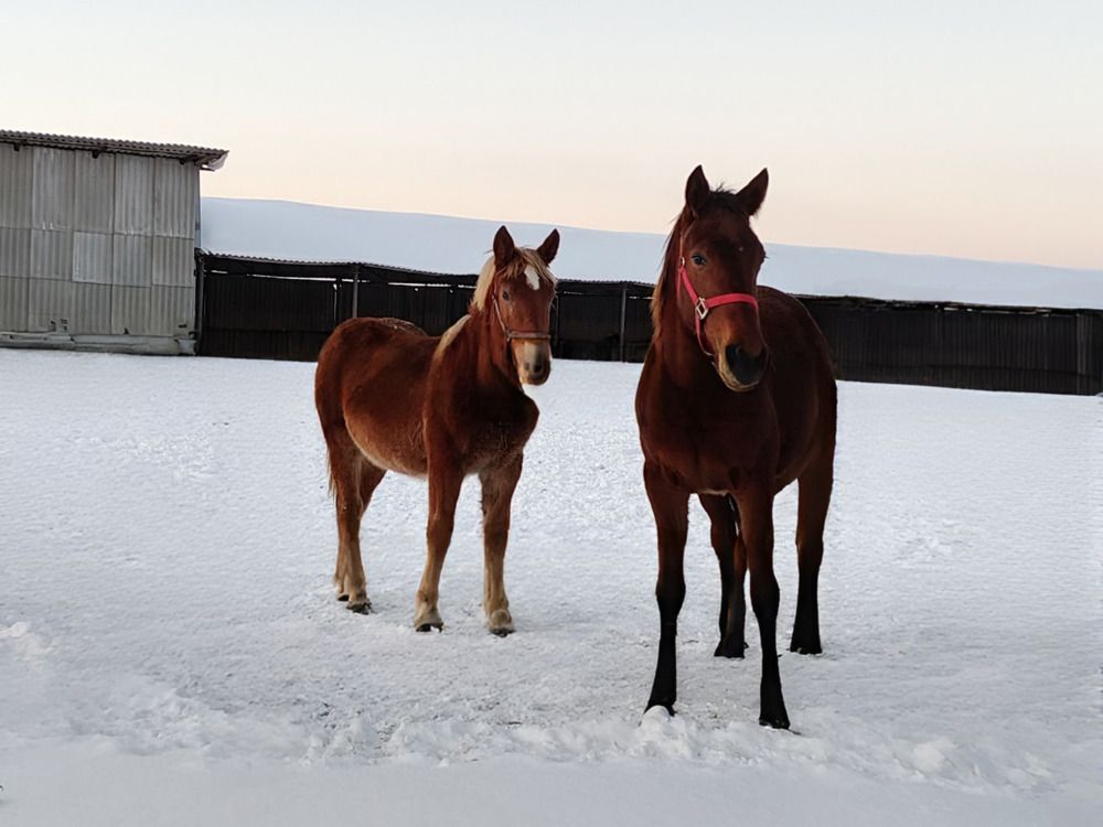 Photograph by Елена Сухорученкова