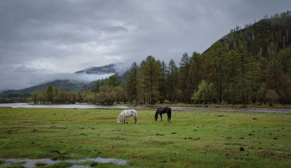 Photograph by Олег Филиппов