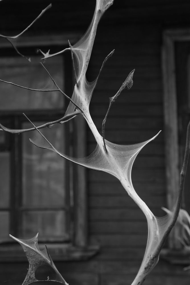 Photograph by Александр Кожевников