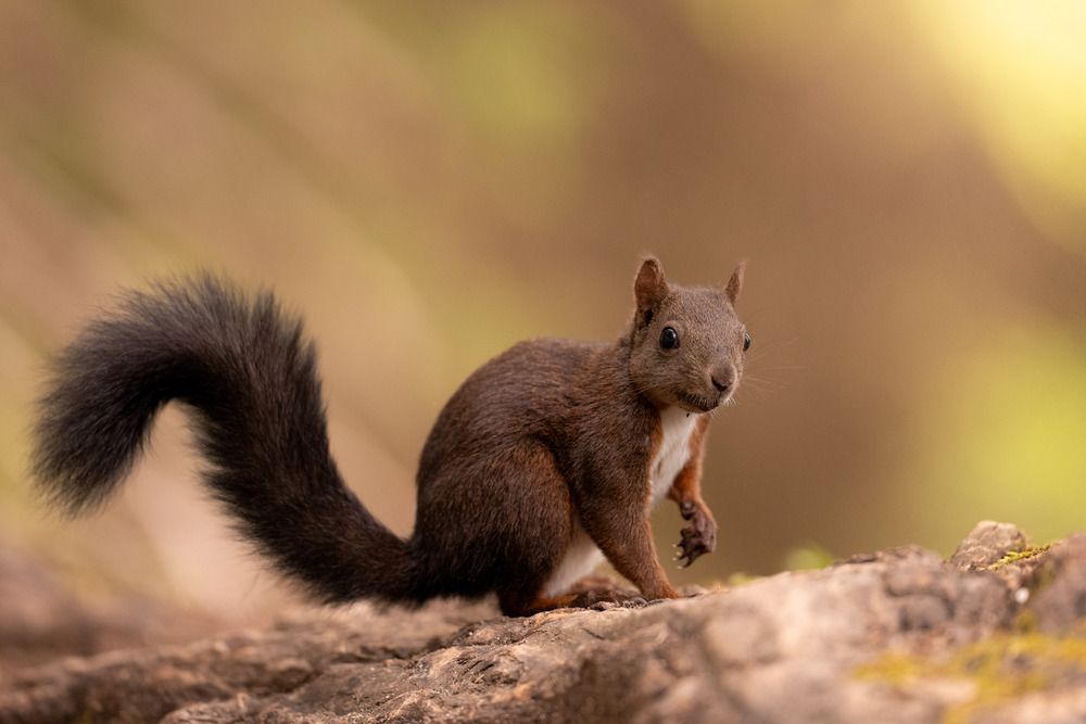 Photograph by Fabio Müller