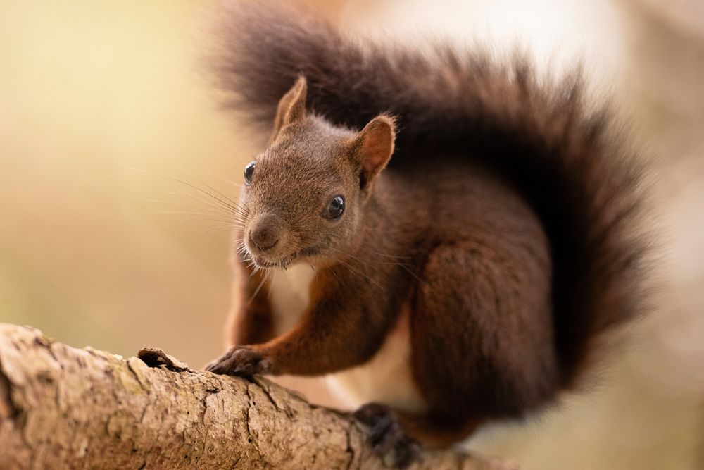 Photograph by Fabio Müller