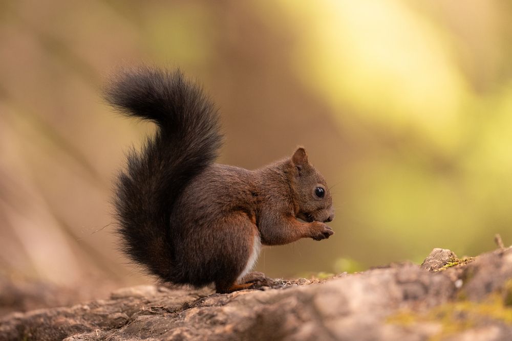 Photograph by Fabio Müller