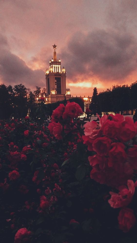 Фотография автора Valerya Vasileva