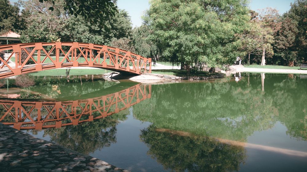 Photograph by Parsa Mohammadinejad