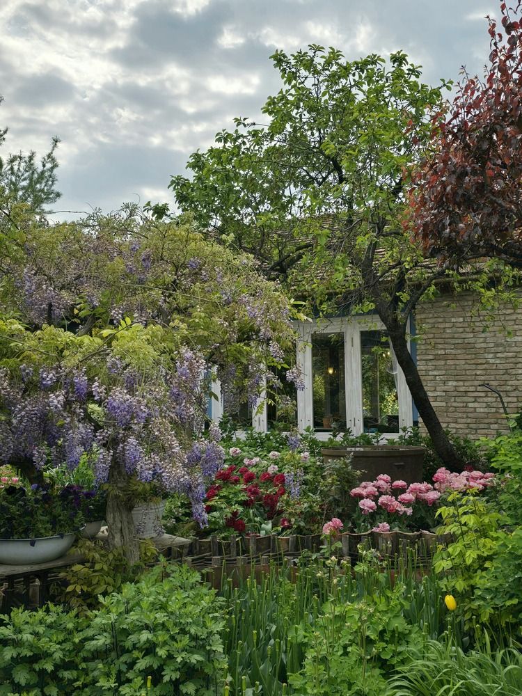 Photograph by Yulia Rotbach