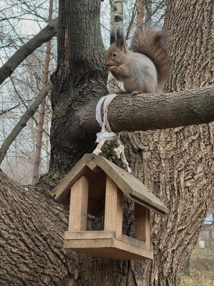 Photograph by Оксана Малышева