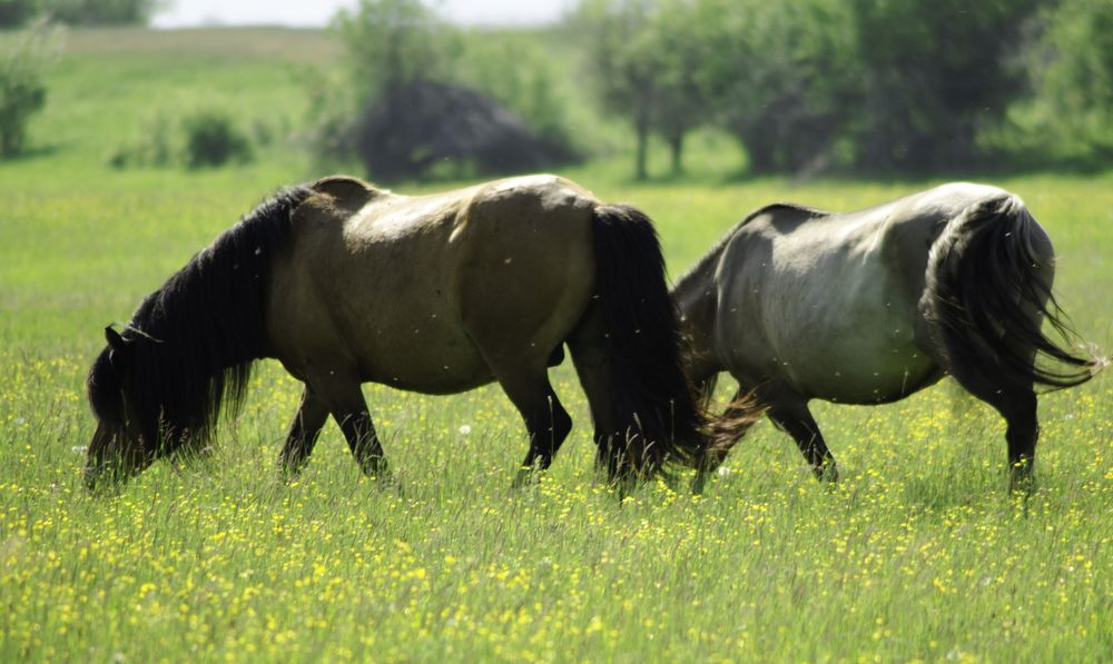 Photograph by Александр Шалагин