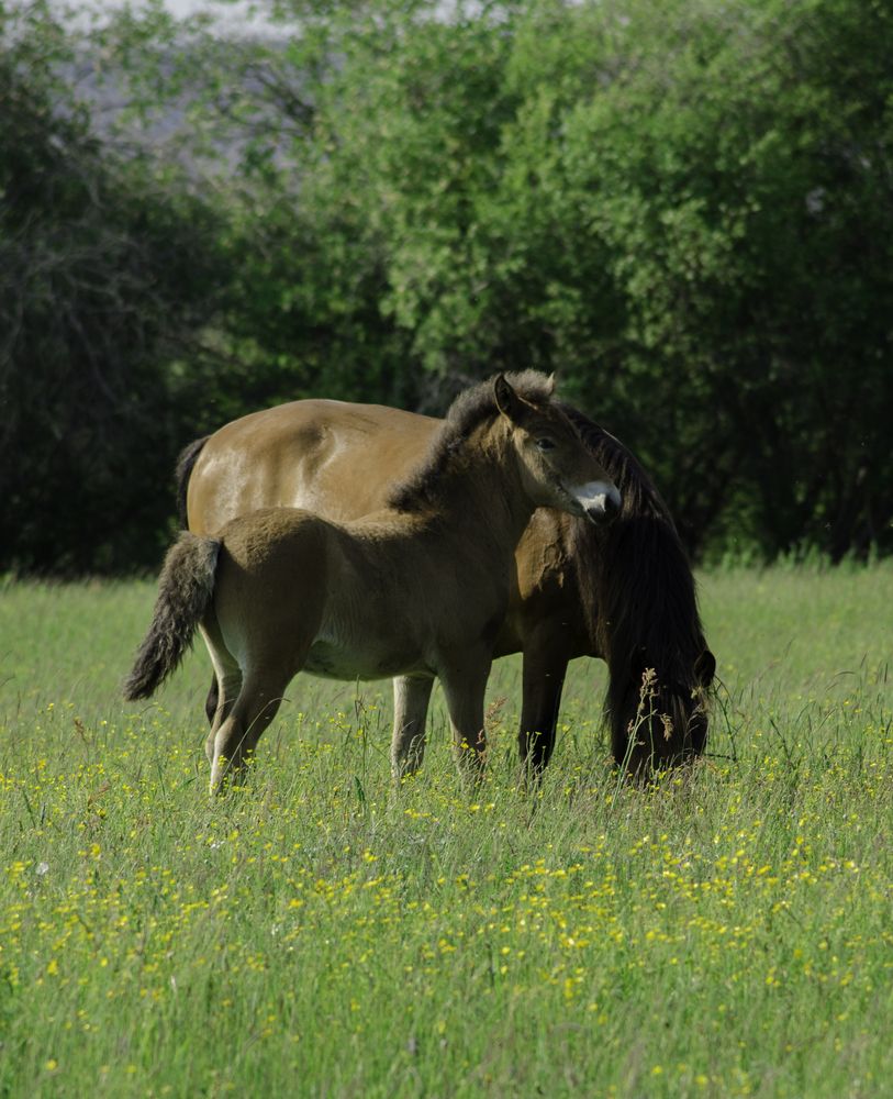 Photograph by Александр Шалагин