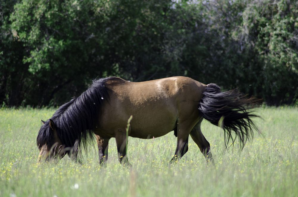Photograph by Александр Шалагин