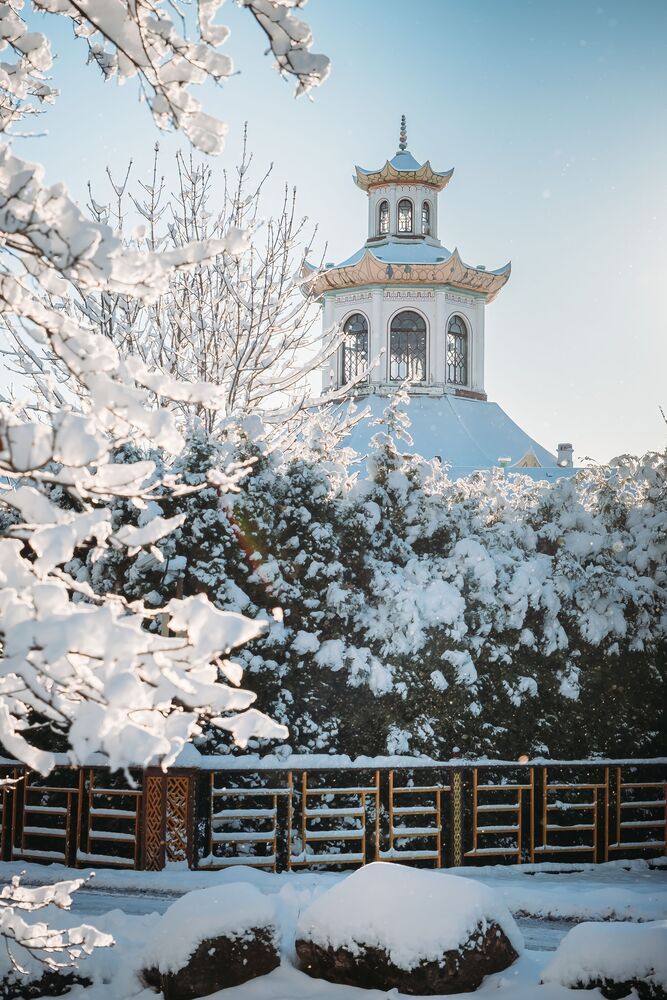 Photograph by Илья Гунбин