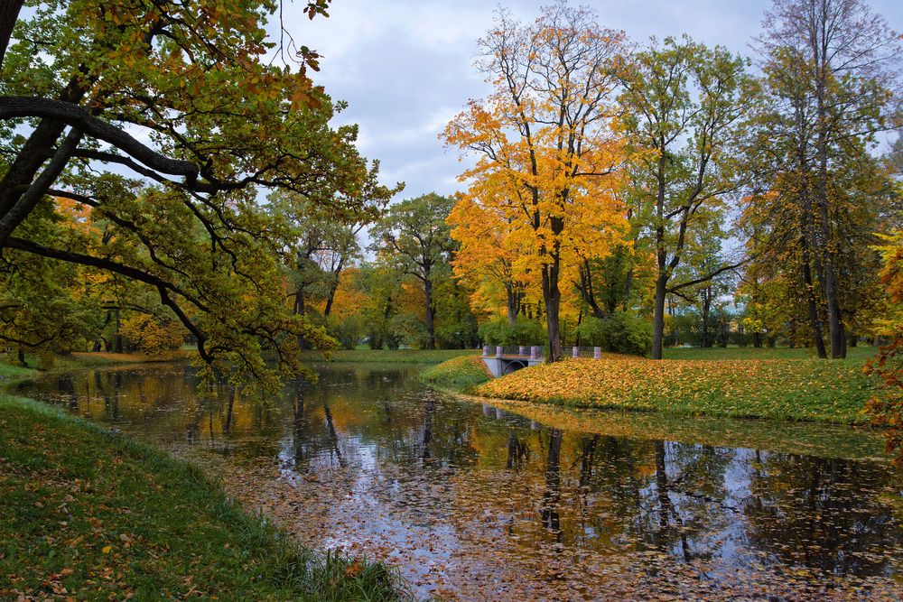 Photograph by Светлана Ващенко