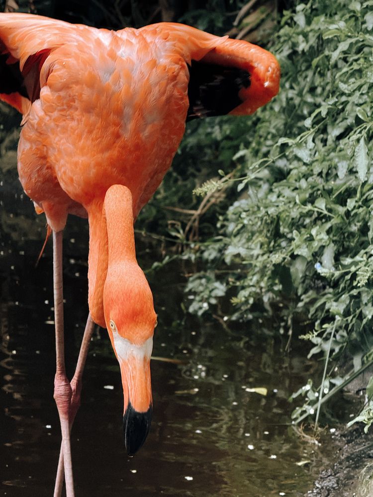 Photograph by Marina Zvada