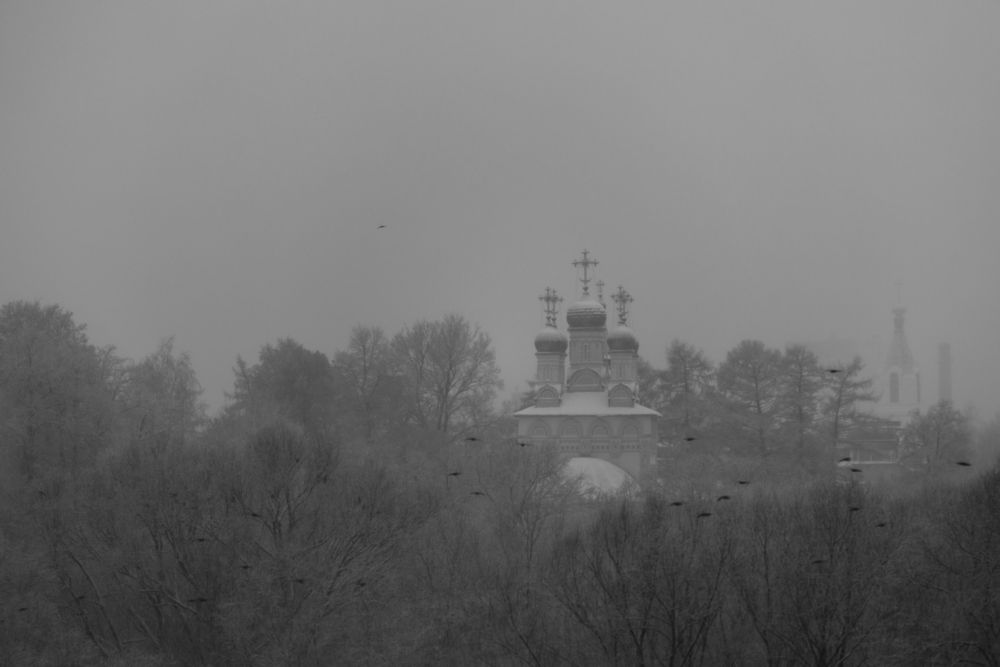 Photograph by Елена Румянцева