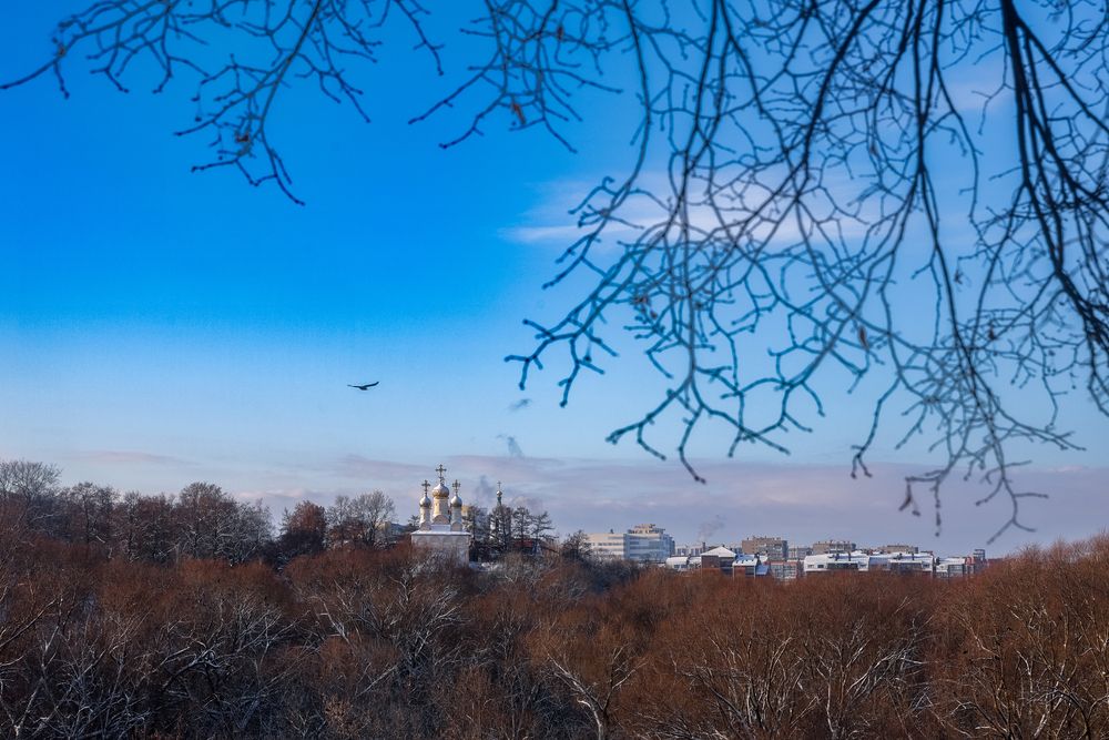 Photograph by Елена Румянцева