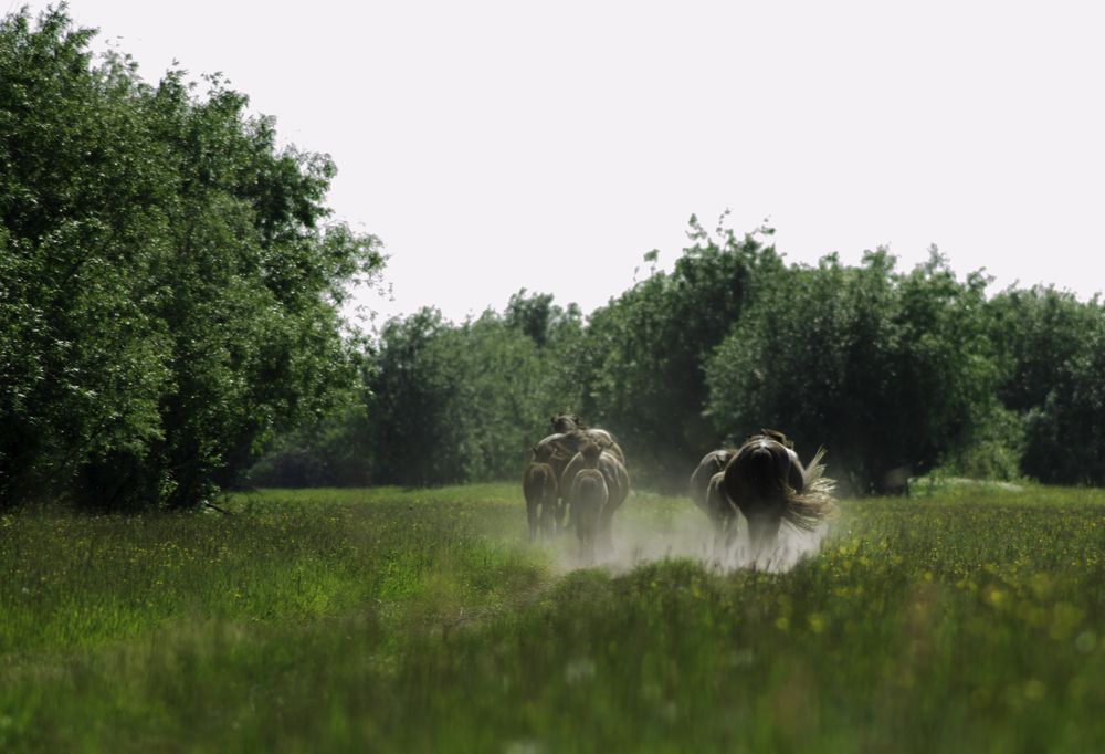 Photograph by Александр Шалагин