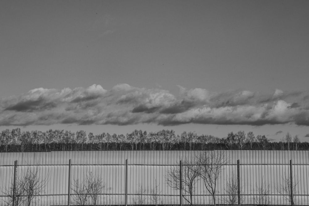 Photograph by Елена Румянцева