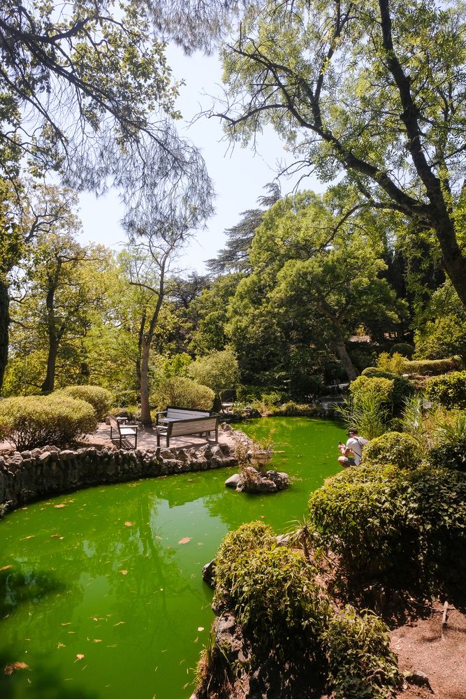 Photograph by Алексей Раимун