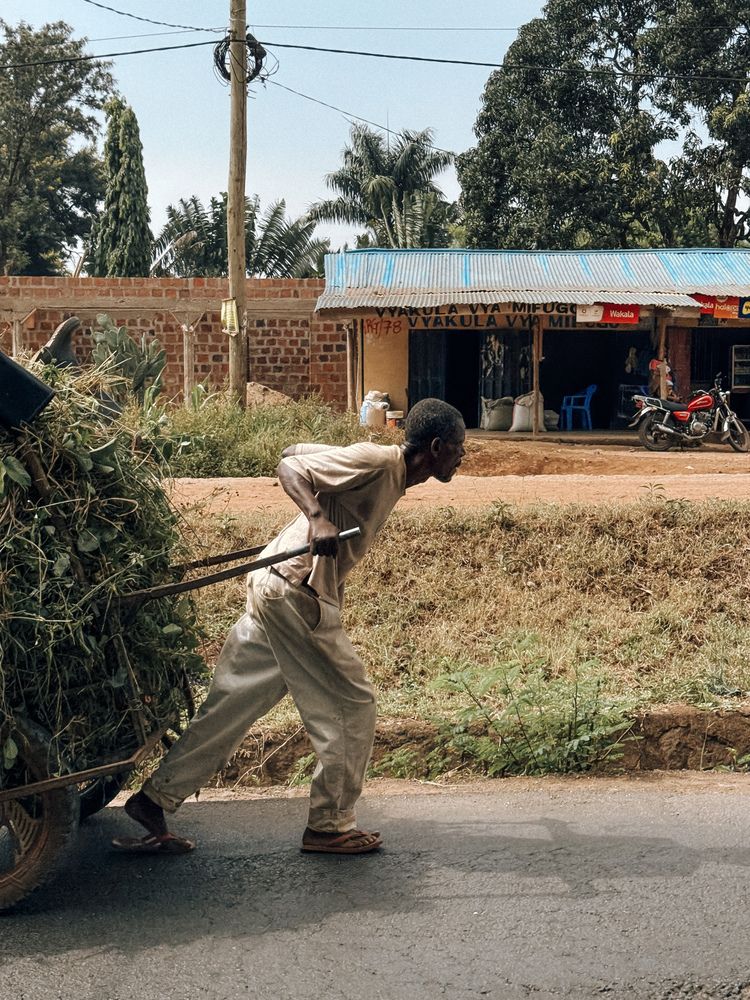 Photograph by Marina Zvada