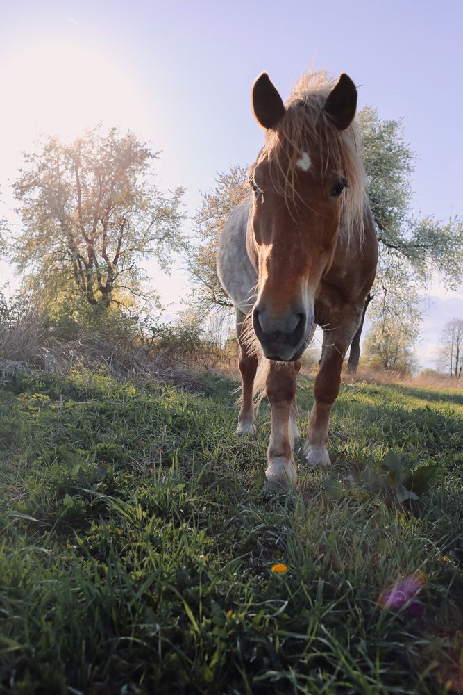 Photograph by Наталья Бабицкая