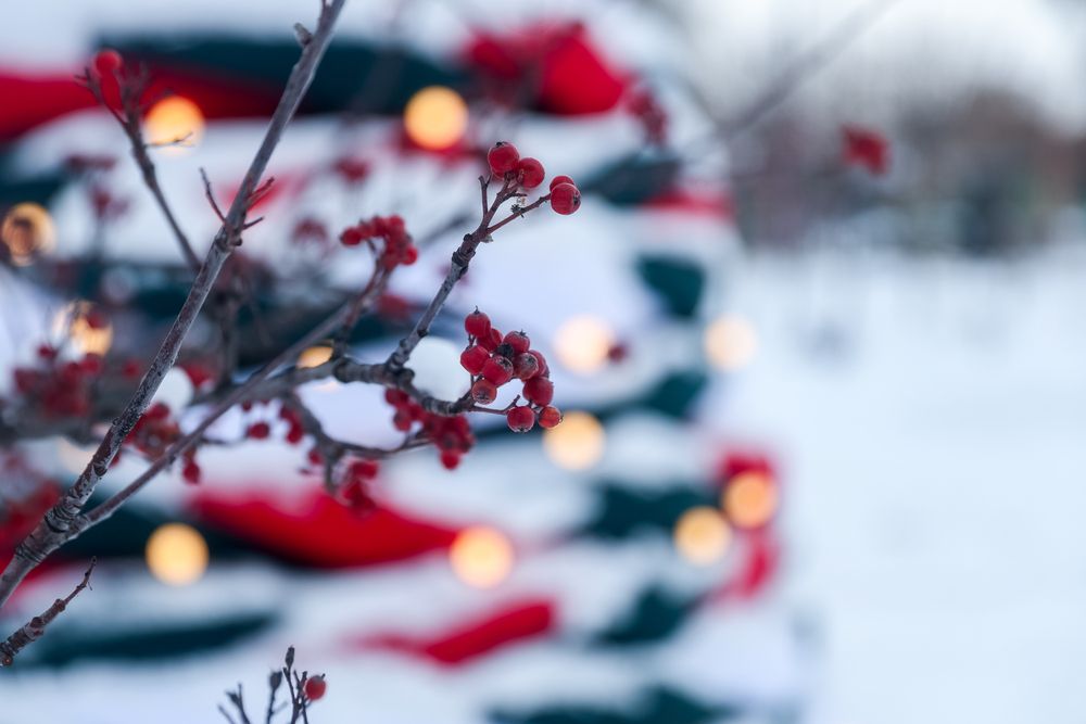 Photograph by Елена Румянцева