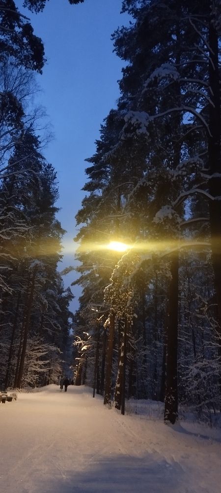 Photograph by Любовь Макарова