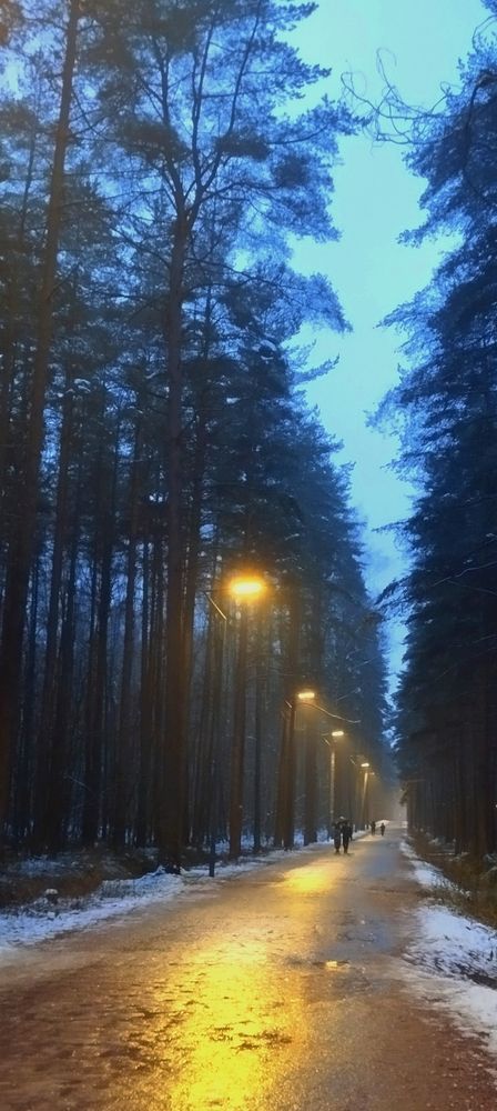 Photograph by Любовь Макарова