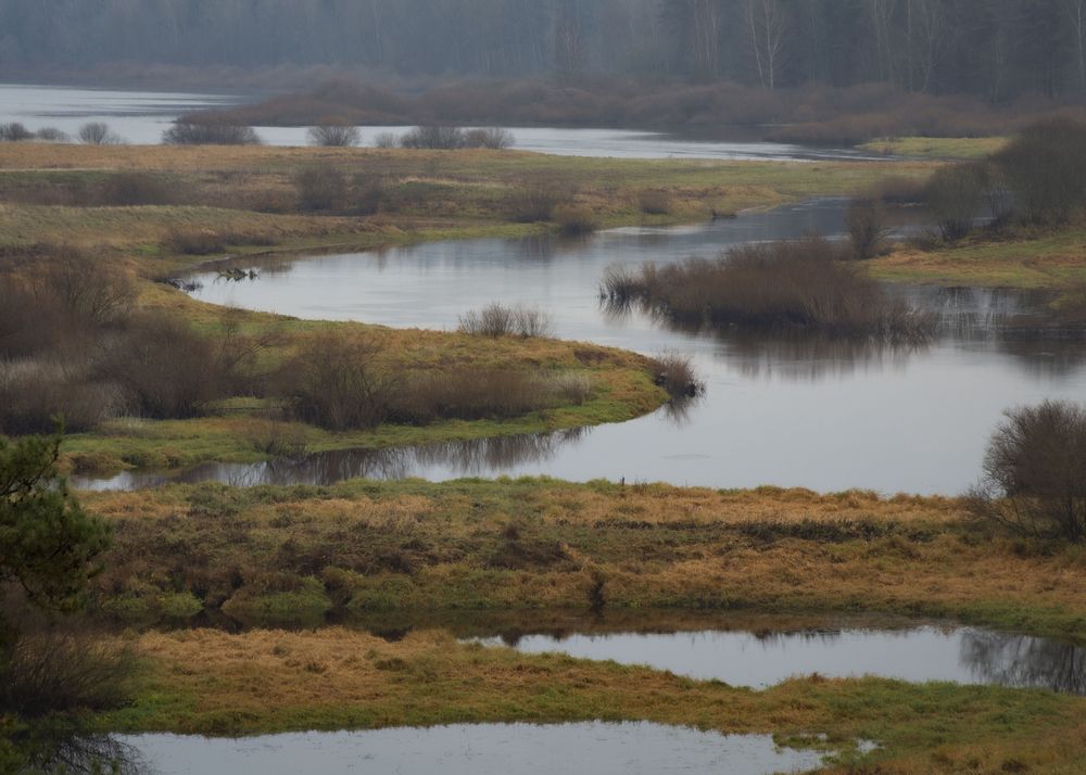 Пушкинские горы