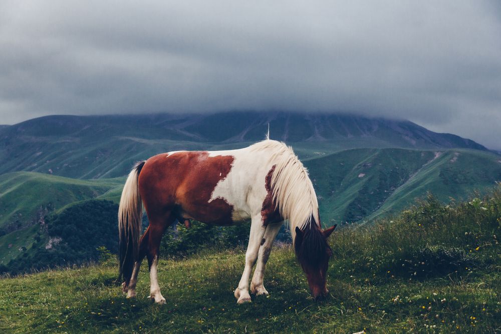 Photograph by Слащилина Нина