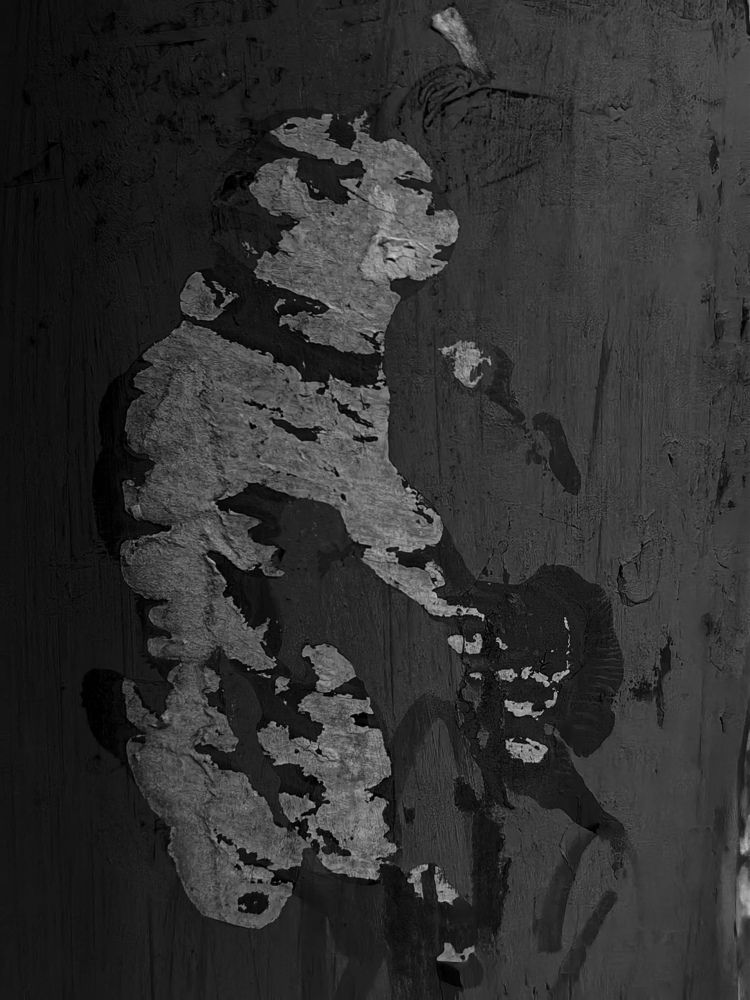 Photograph by Татьяна Гущина