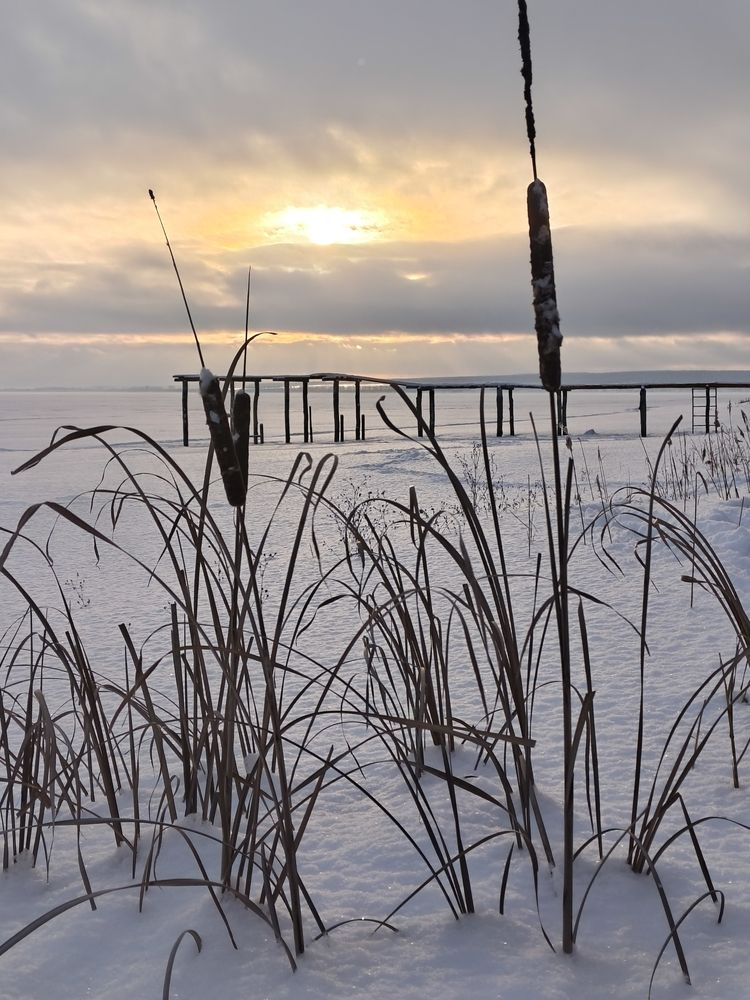 Photograph by Татьяна Пятернёва