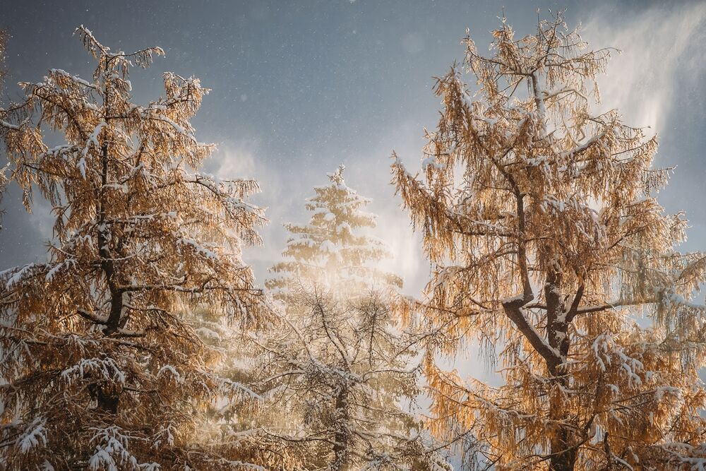 Photograph by Илья Гунбин