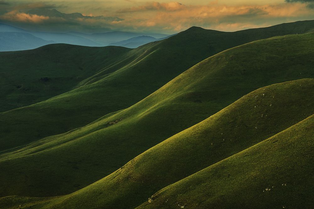 Photograph by Александр Хорошилов