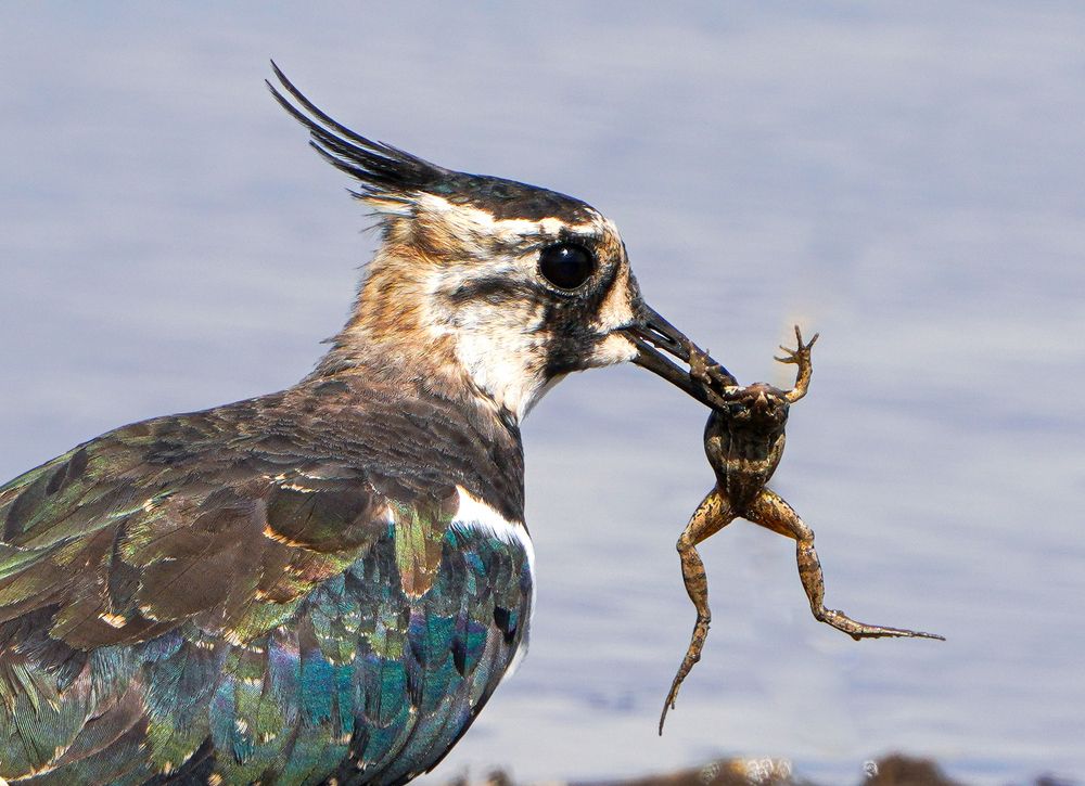 Photograph by Андрей Черкасов