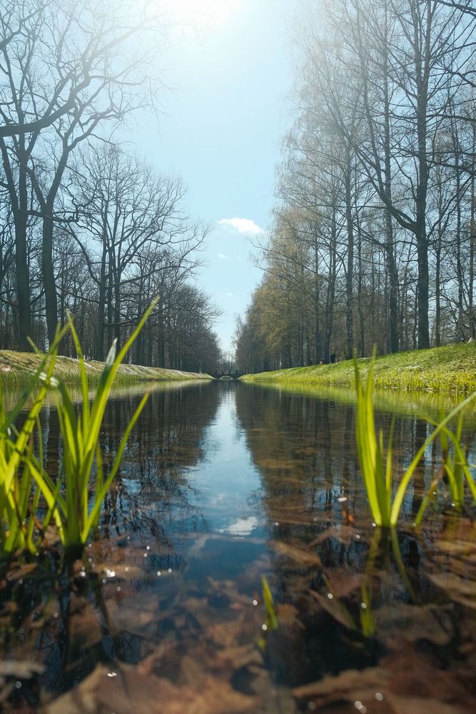 Photograph by Алексей Раимун