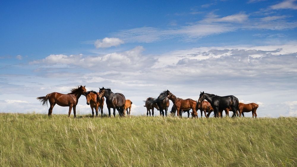 Photograph by Андрей Черкасов