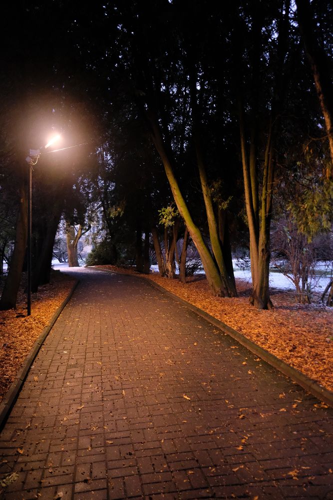 Photograph by Алексей Раимун