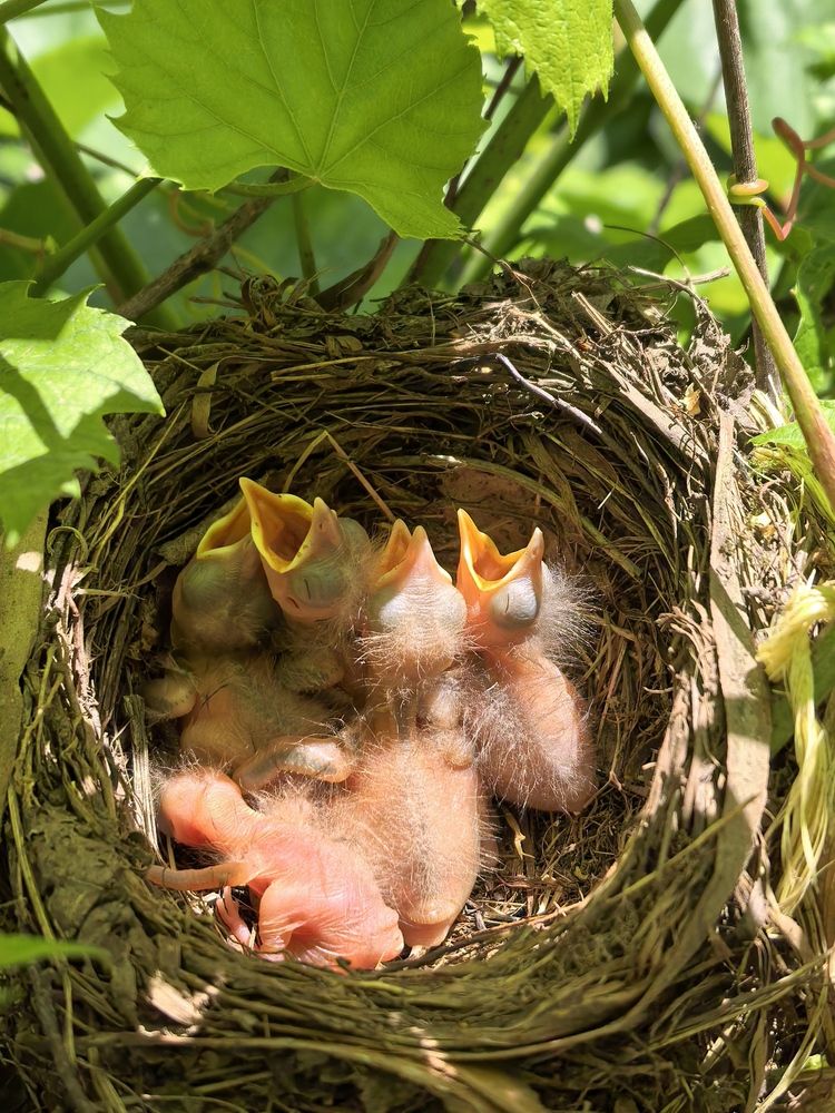 Photograph by Людмила Орловская