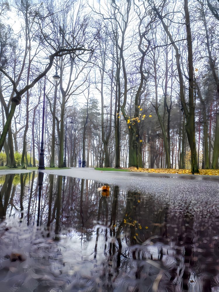 Photograph by Мария Самохвалова