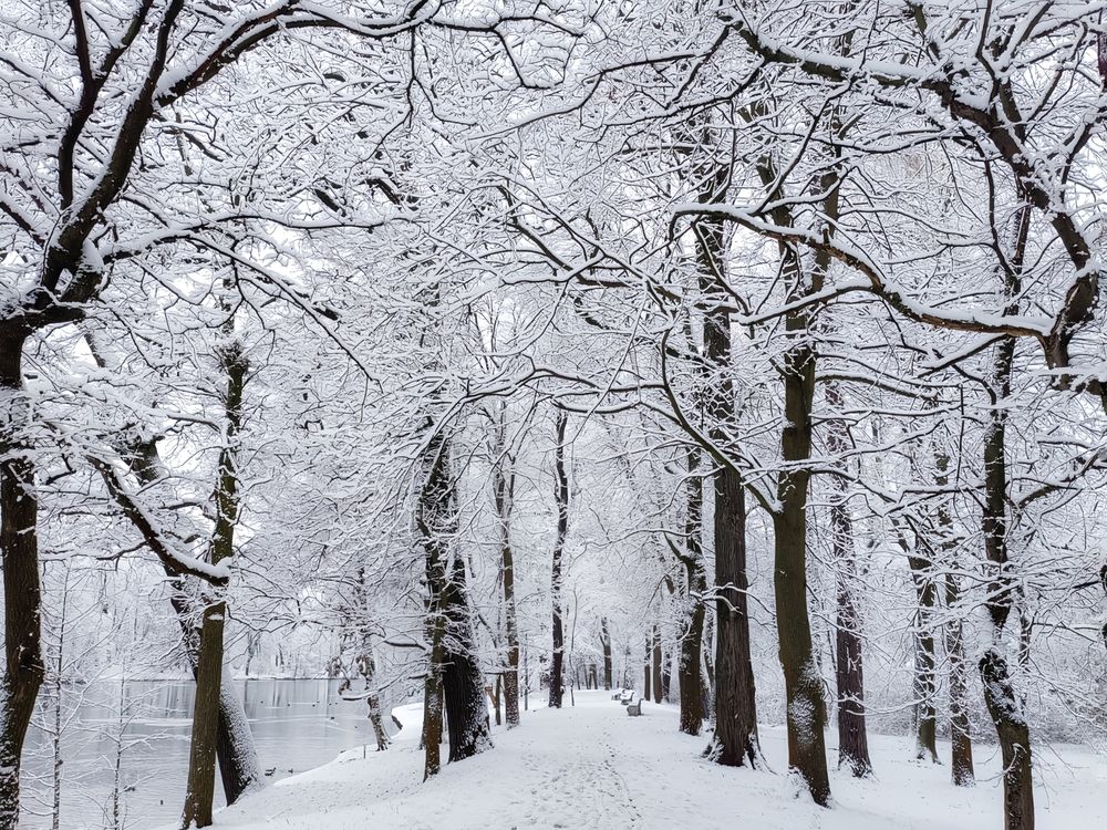 Photograph by Мария Самохвалова