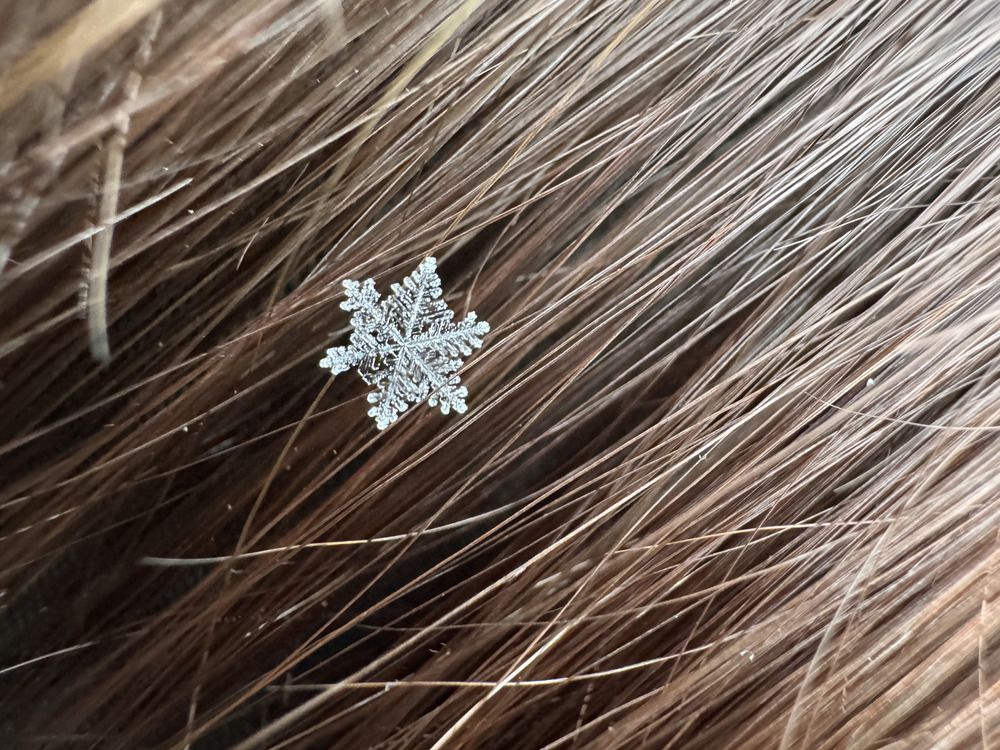 Photograph by Ekaterina Slepneva