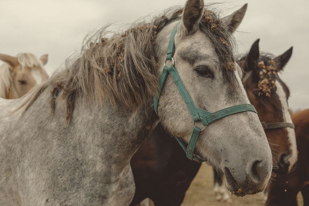 Фотография автора Кушпилева Марина