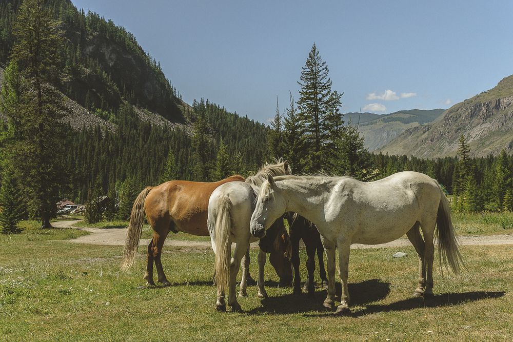 Фотография автора Кушпилева Марина