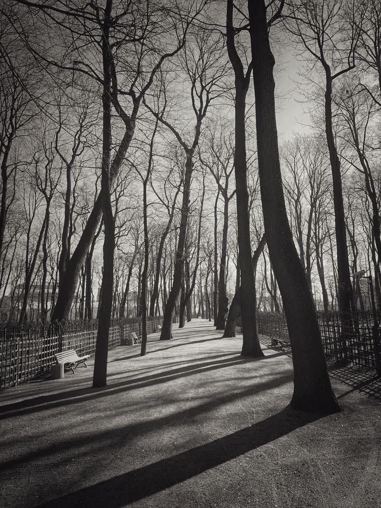 Photograph by Вячеслав Щёголев