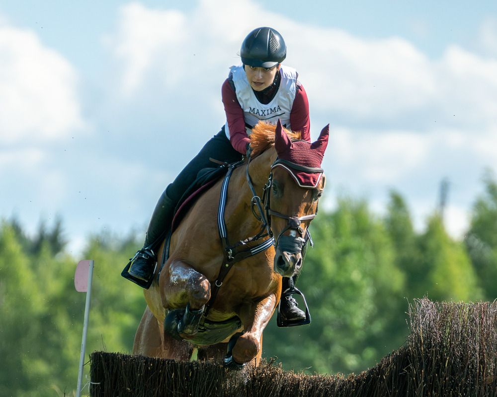 Фотография автора Александр Робин