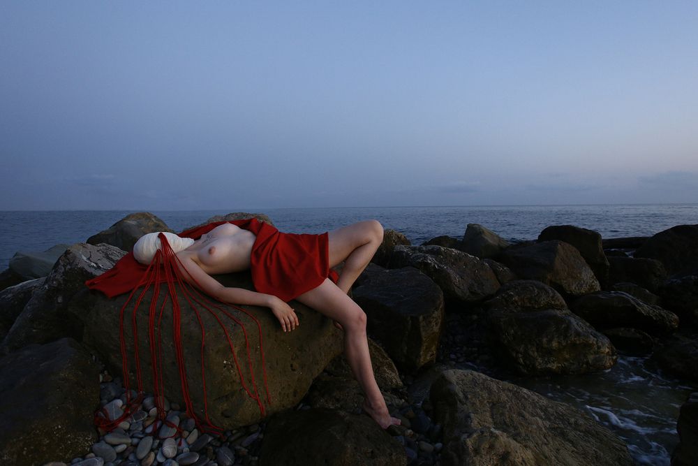 форма жизни