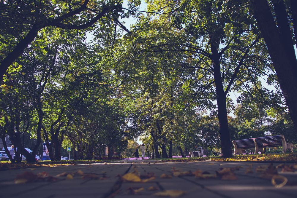 Photograph by Евгения Сенченко