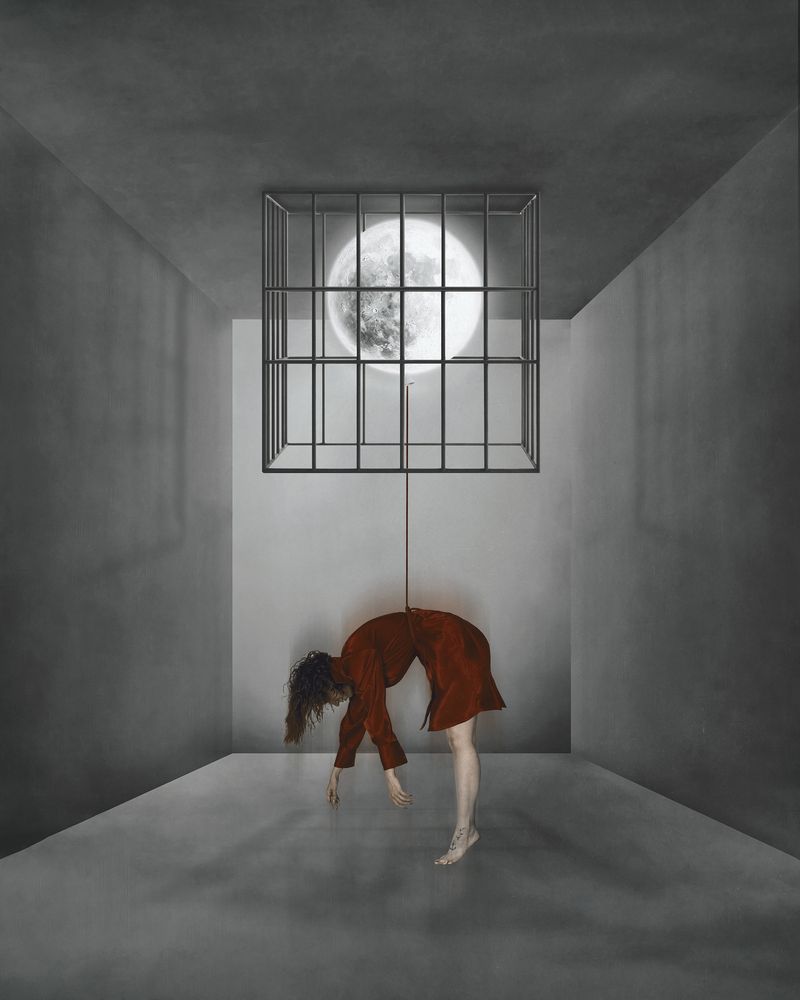 Photograph by Alireza Karimian