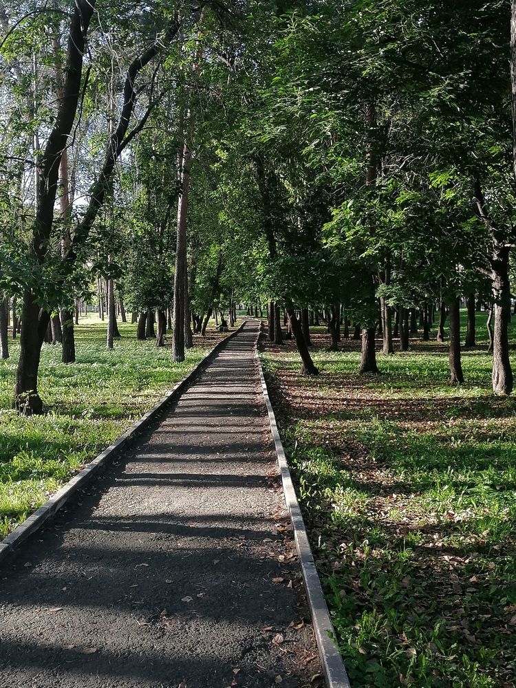 Photograph by Наталия