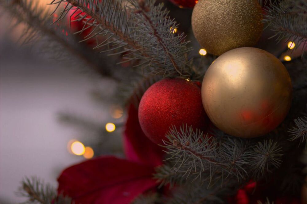 Photograph by НАТАЛЬЯ БОЧАРНИКОВА